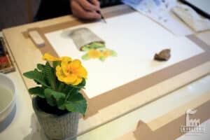 Dessin d'observation - Aquarelle