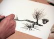 Dessin et encre de chine sur papier